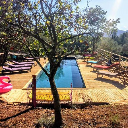Dépend Atypiq Bohème,piscine chauffée toute l'année, jacuzzi,sauna,loisirs nature Le Beausset Exterior foto