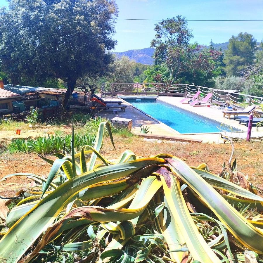 Dépend Atypiq Bohème,piscine chauffée toute l'année, jacuzzi,sauna,loisirs nature Le Beausset Exterior foto